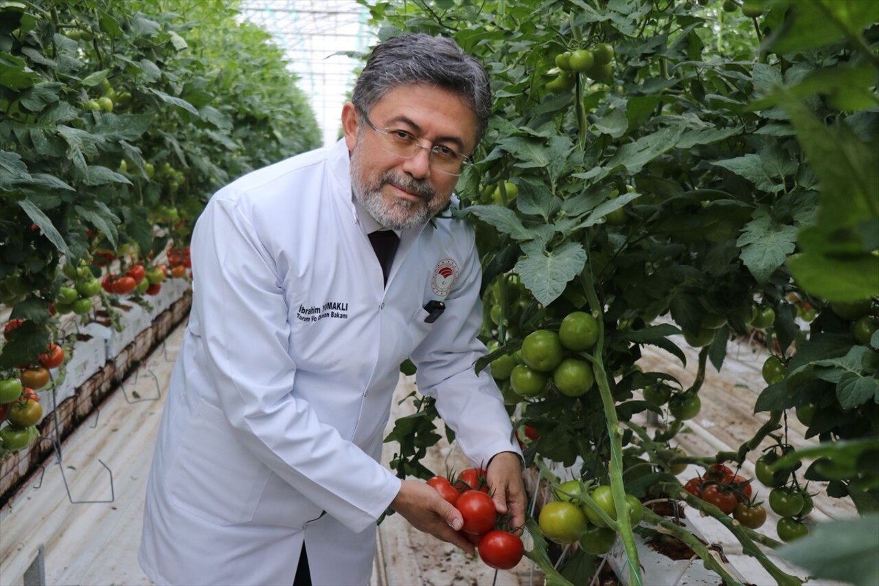 Tarım ve Orman Bakanı İbrahim Yumaklı (sağ 2), Ağrı'da Diyadin Tarıma Dayalı İhtisas Sera Organize...