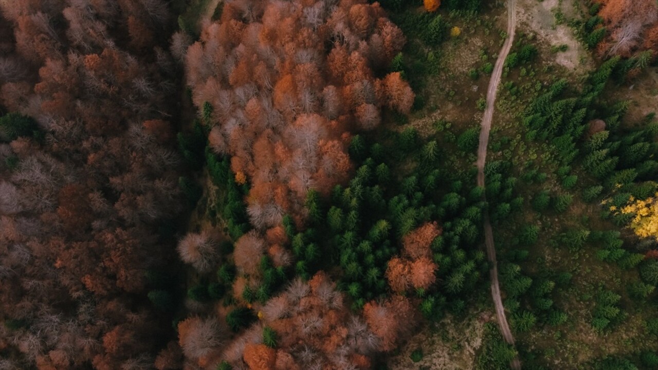 Bosna Hersek'teki Hersek-Neretva Kantonu'nda, sonbaharın gelmesiyle sarı, kahverengi ve kızılın...