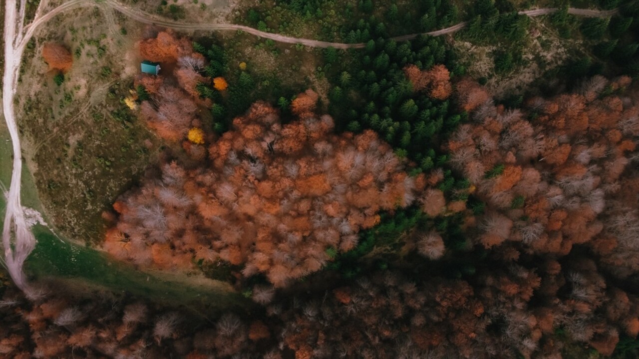 Bosna Hersek'teki Hersek-Neretva Kantonu'nda, sonbaharın gelmesiyle sarı, kahverengi ve kızılın...