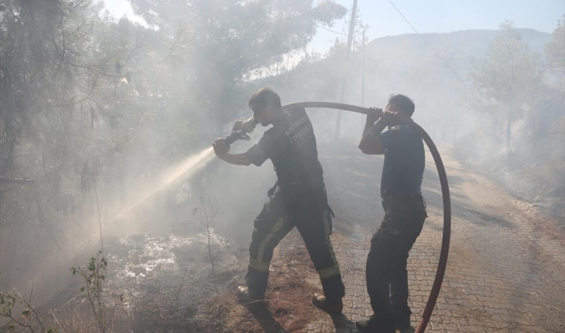 Alanya'daki orman yangını başarılı