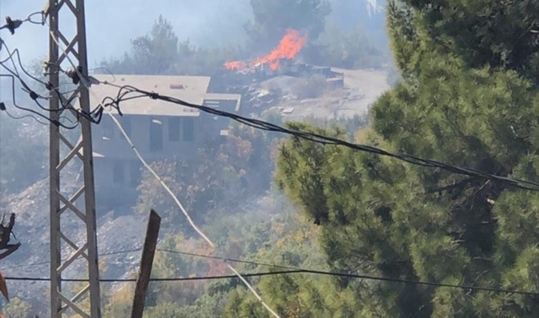 Alanya'da zirai alanda çıkan