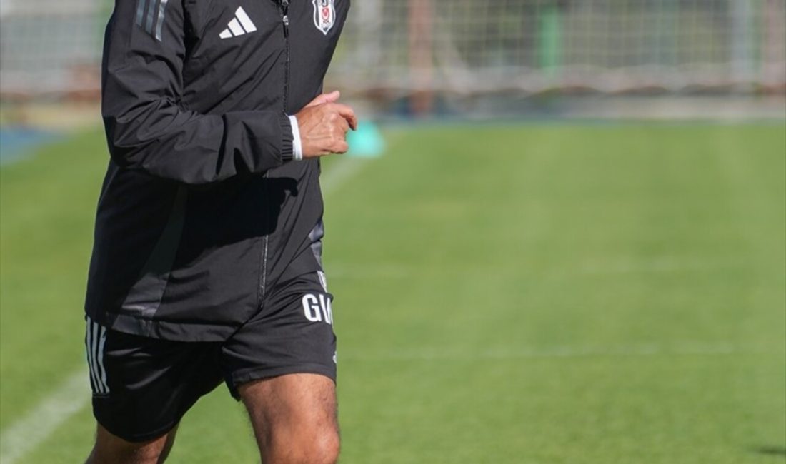 Beşiktaş, Olimpik Lyon ile