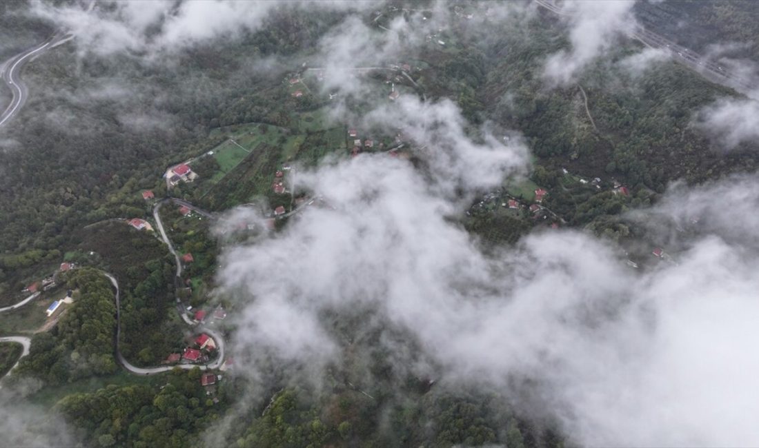 Bolu Dağı'nda kar yağışı