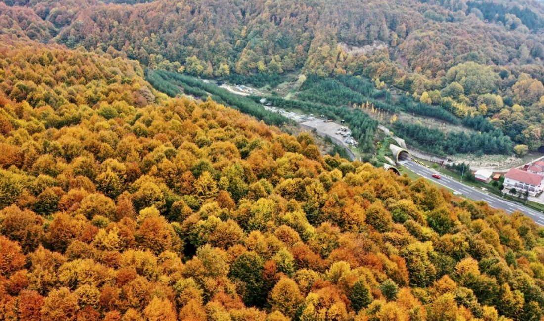 Anadolu Otoyolu'ndan Bolu Dağı