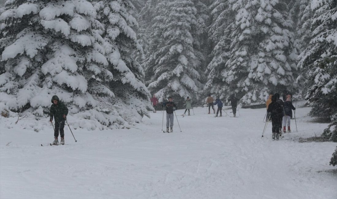 Bolu'da kayaklı koşu sporcuları,