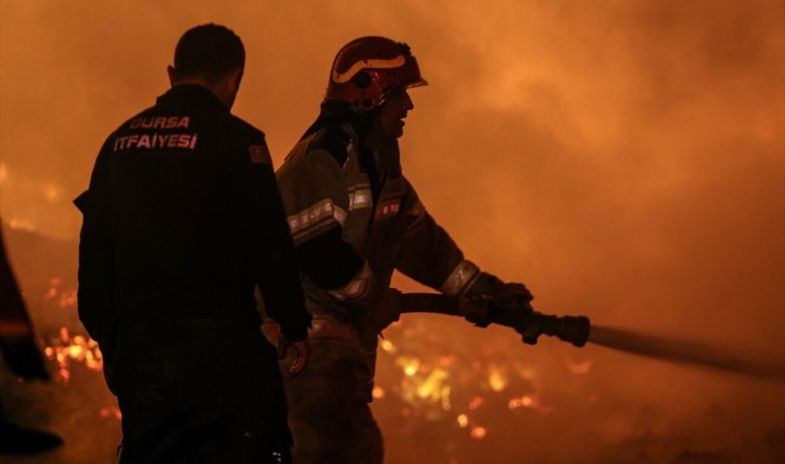 Karacabey'deki palet fabrikasında çıkan