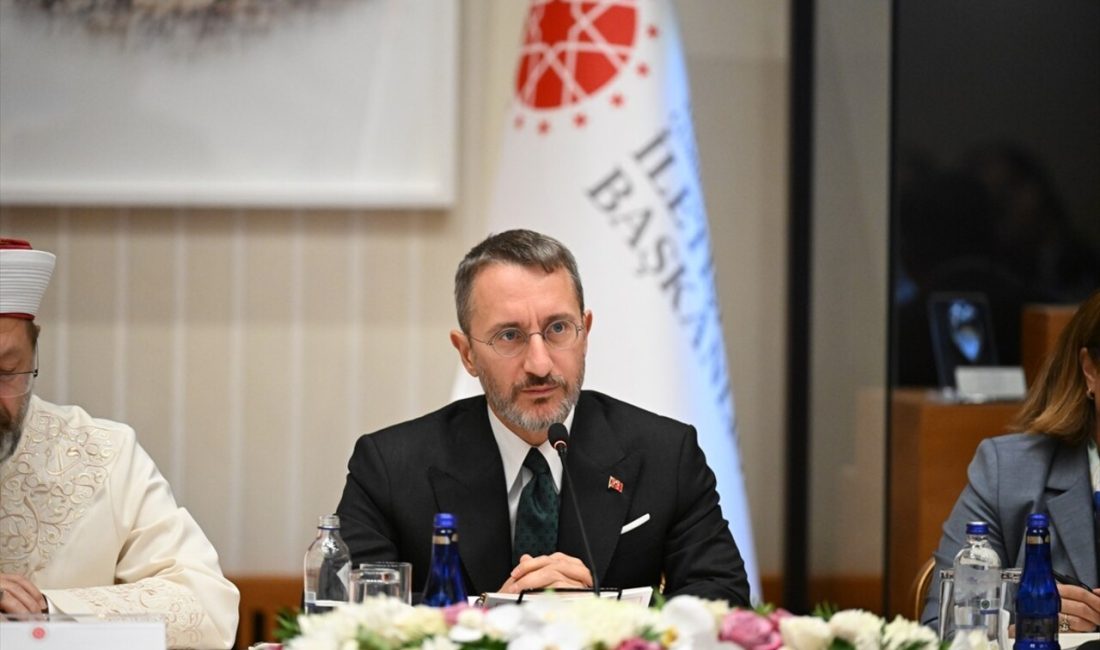 Fahrettin Altun, Kamu Diplomasisi