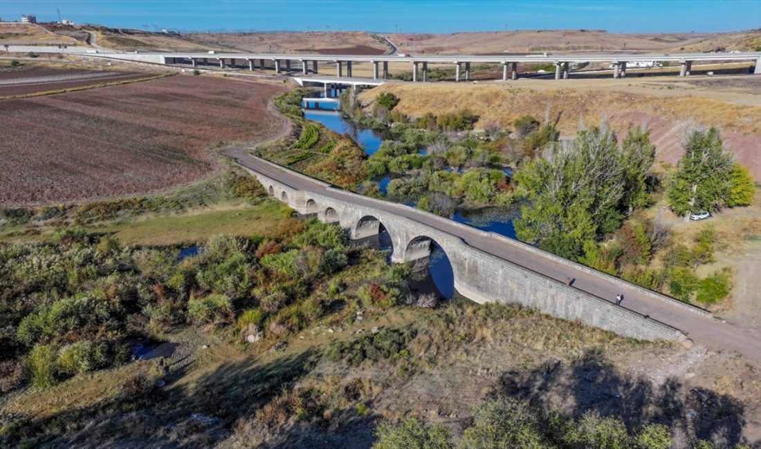 Diyarbakır'ın Yenişehir ilçesinde balıkların