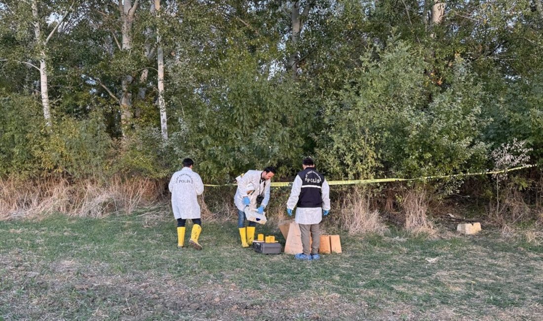 Edirne'de Tunca Nehri kıyısında