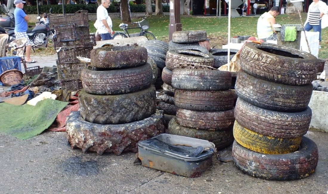 Erdek Limanı'nda gönüllü dalgıçlar