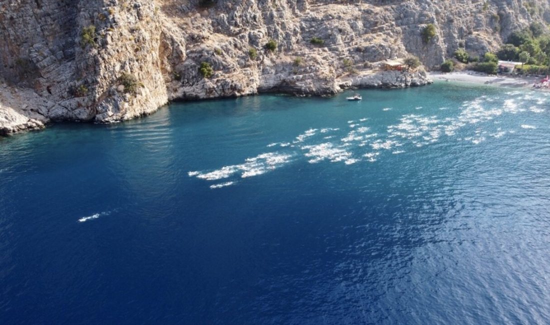 Fethiye'de düzenlenen 5. Uluslararası