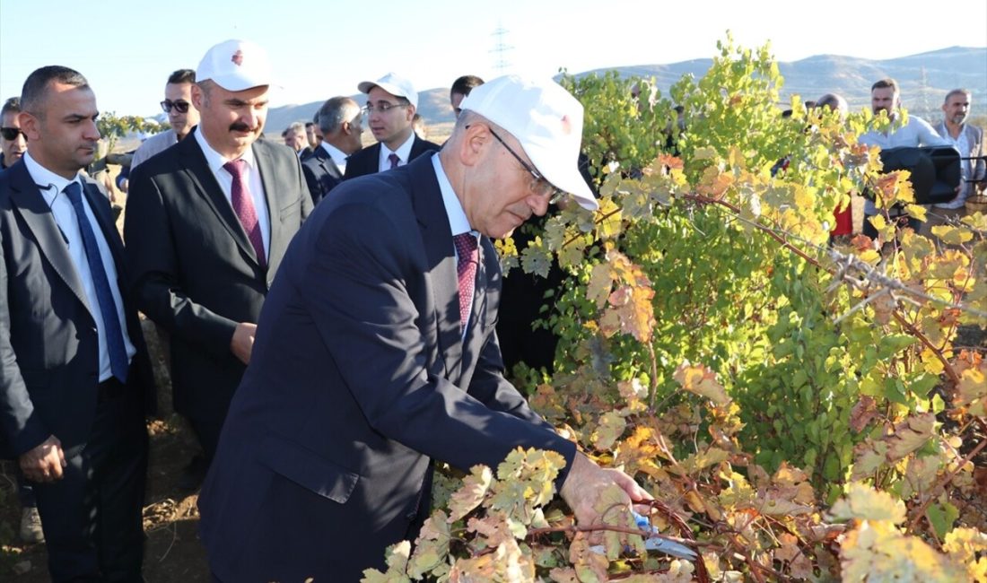 Bakan Şimşek, Gercüş'te düzenlenen