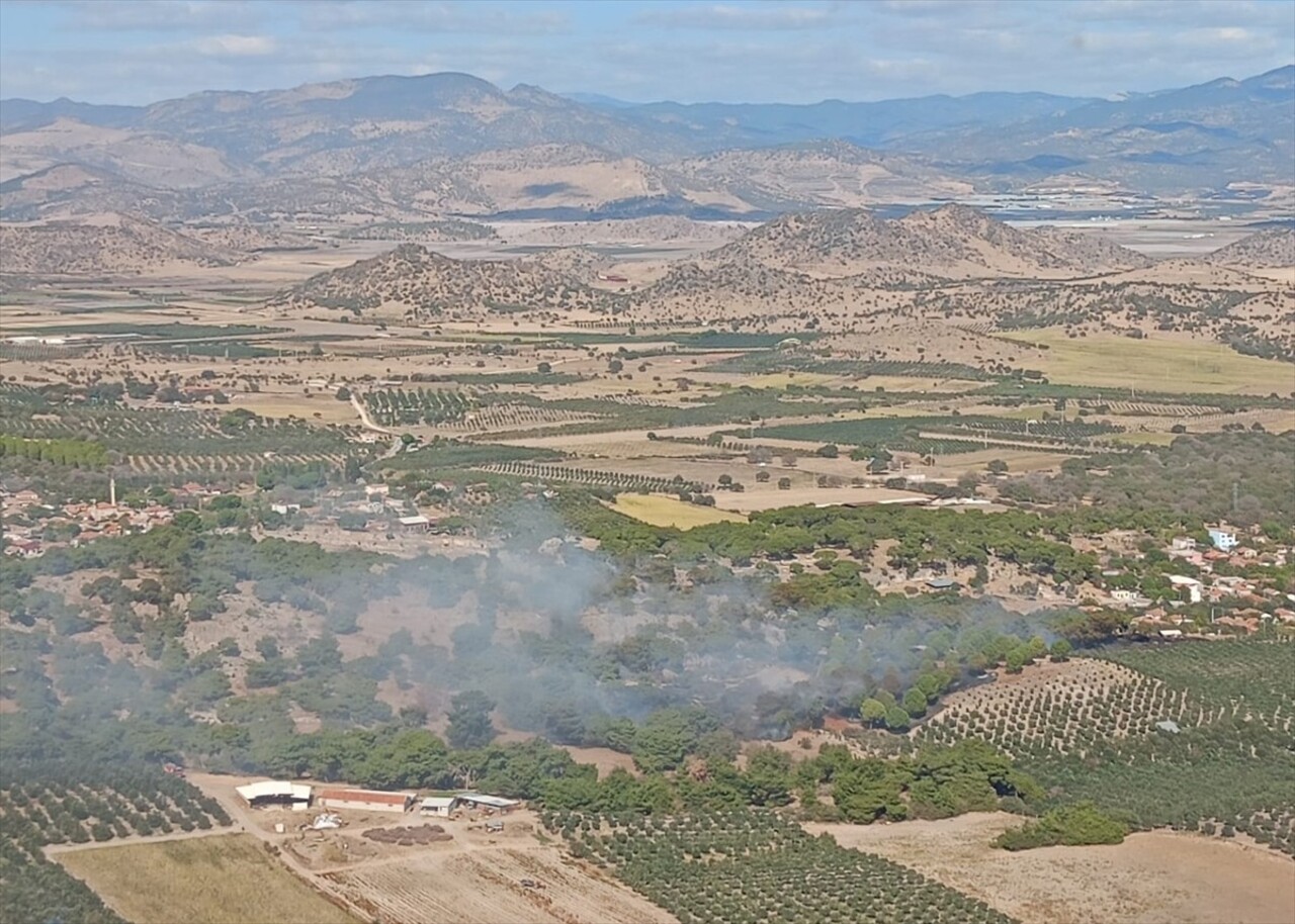 İzmir’de Tarım Arazisinde Çıkan Yangın Kontrol Altına Alındı