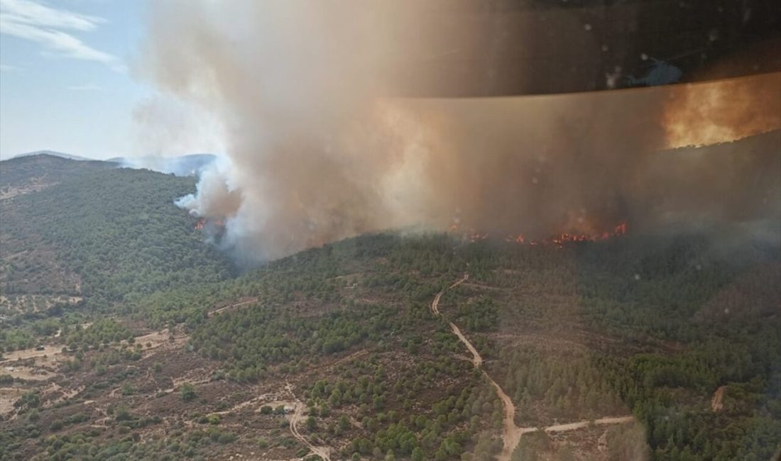 Foça'da çöplükte çıkan yangın,