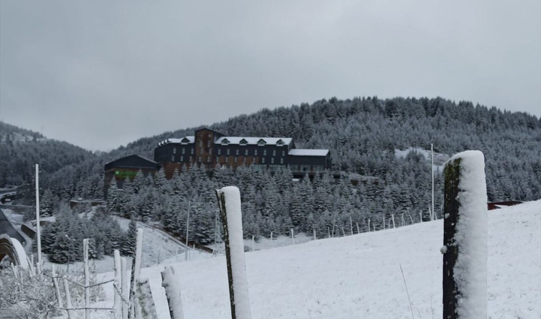 Karadeniz'in beş ilinde yüksek