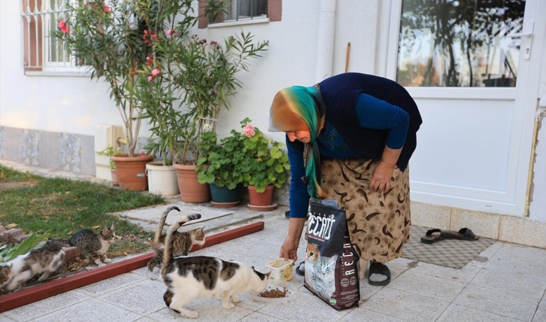 Kayseri Belediyesi, yaşlı bir