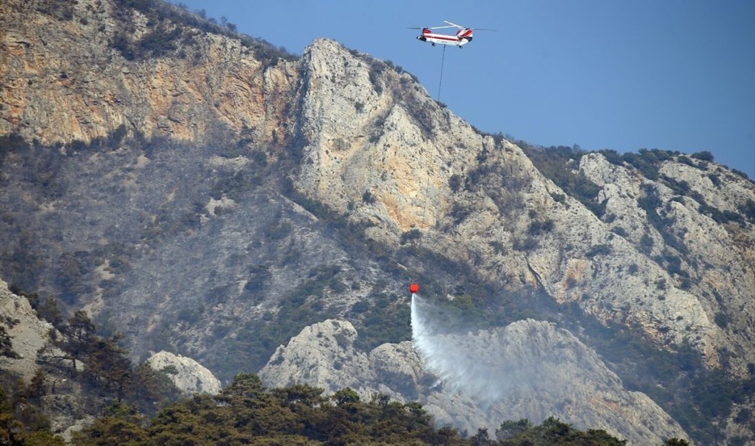 Muğla'nın Menteşe ilçesindeki orman