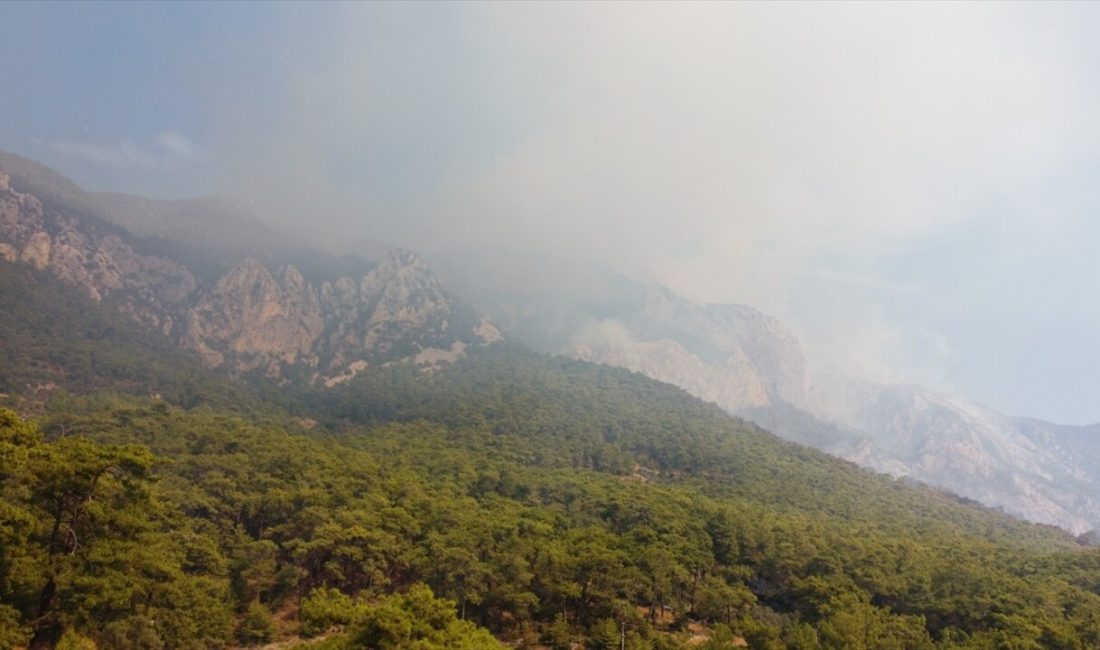 Muğla Valisi Akbıyık, yangınlara