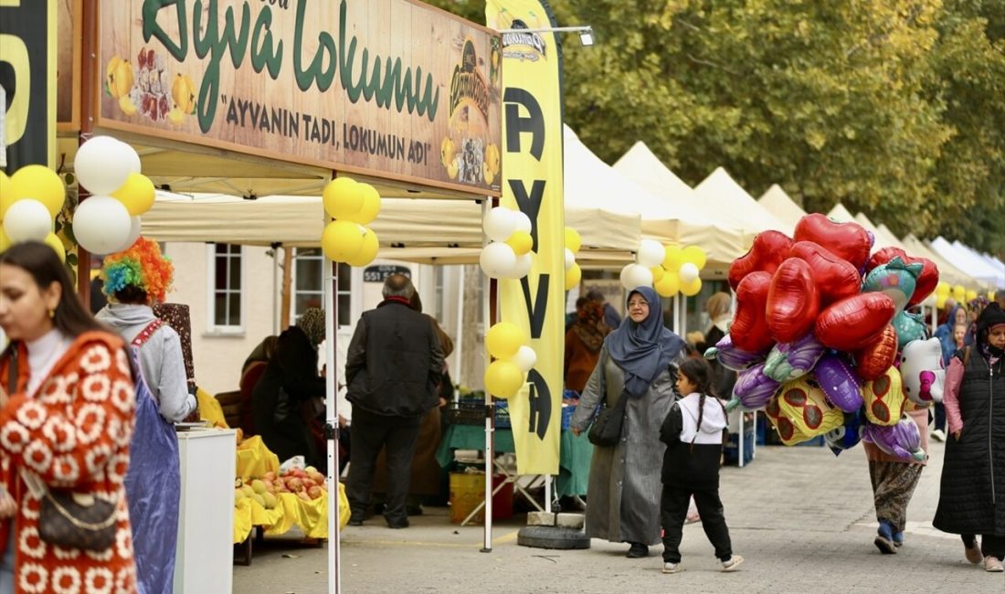 Pamukova'da düzenlenen festival, yöresel