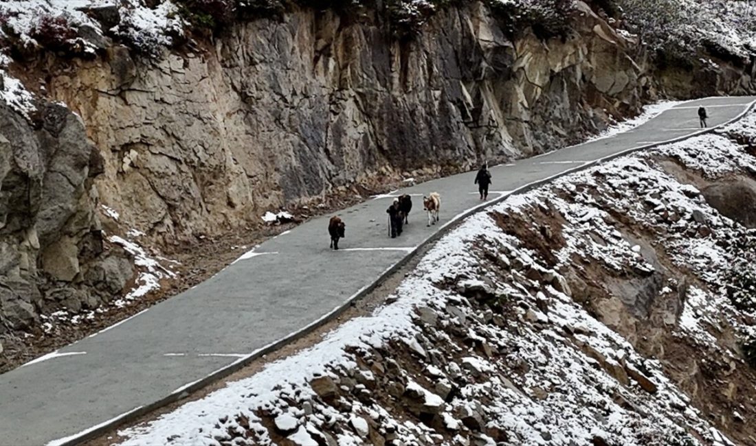 Rize'nin Çamlıhemşin ilçesinde yaylacıların