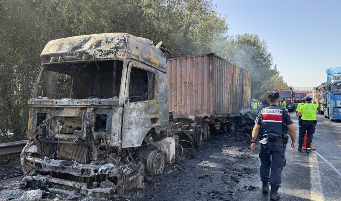 Anadolu Otoyolu'nda meydana gelen