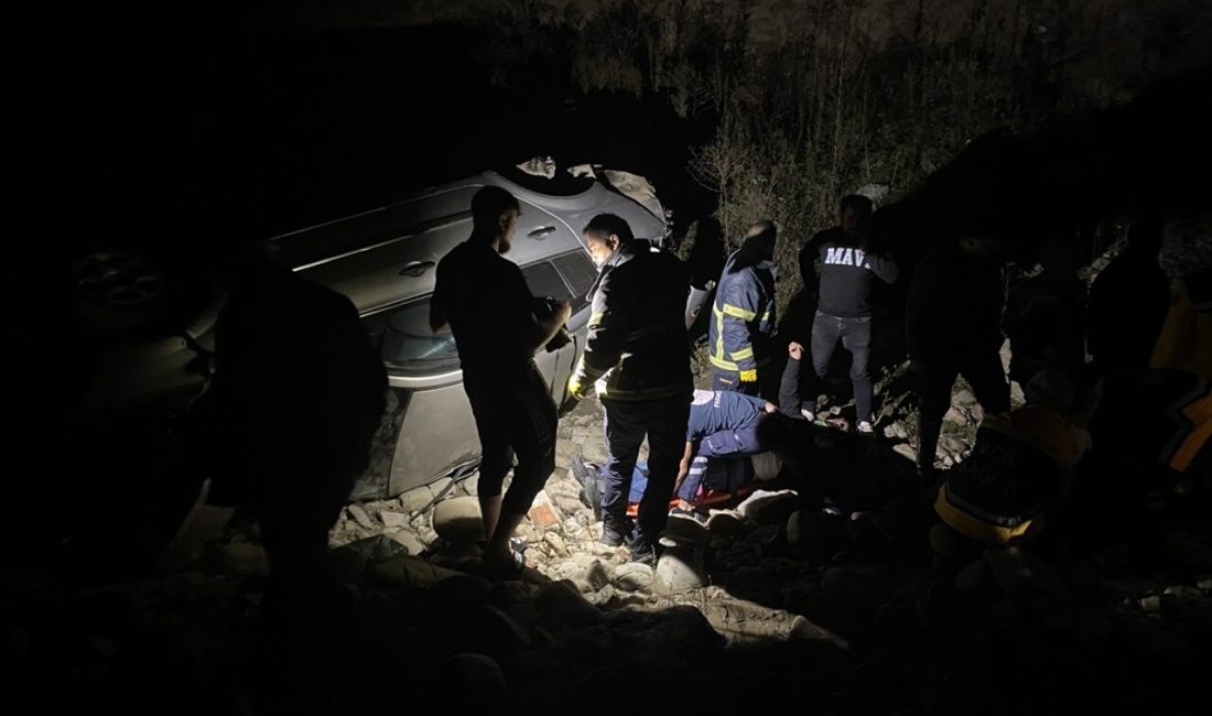 Sinop'un Ayancık ilçesinde çay