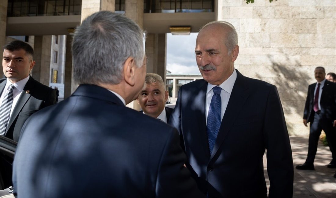 Kurtulmuş ve Köver, Türkiye-Macaristan