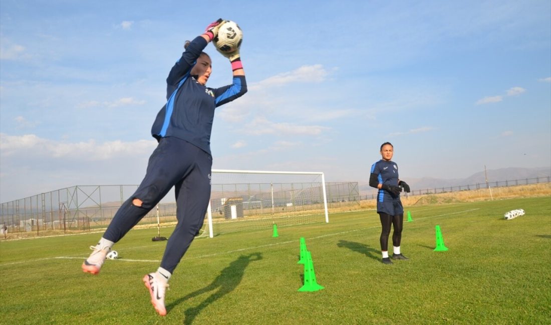 Yüksekovaspor Kadın Futbol Takımı,