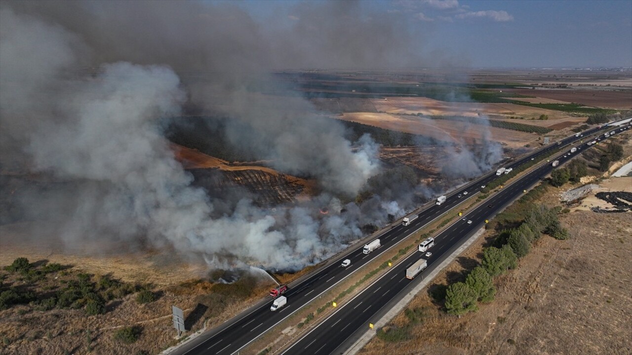 Adana'da otoyol kenarındaki ağaçlık alanda çıkan yangın söndürüldü.