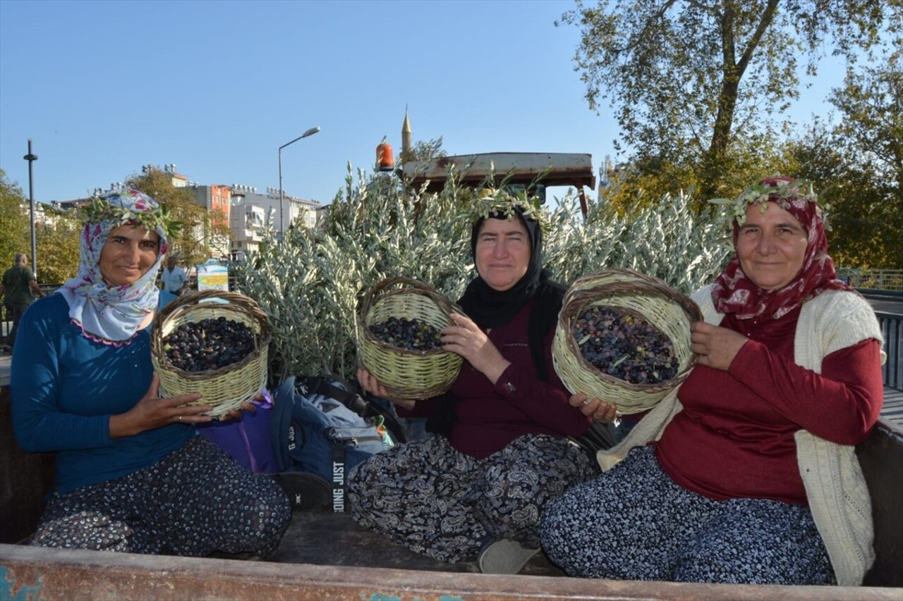 Antalya'da ilk kez düzenlenen "Manavgat Zeytin ve Zeytinyağı Festivali" çeşitli etkinliklerle...