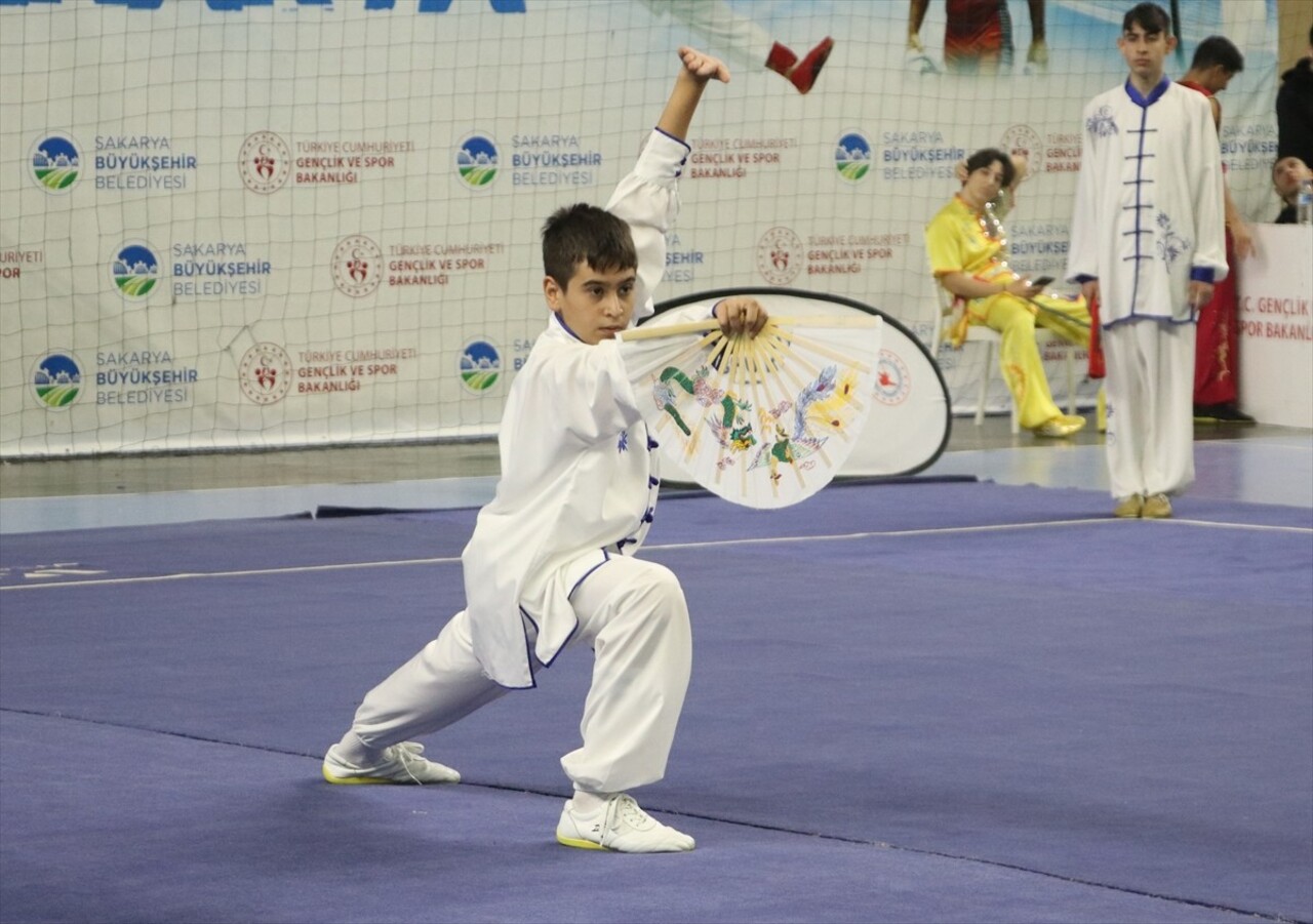 Sakarya'da, Türkiye Wushu Kung Fu Federasyonunca Serdivan Spor Salonu'nda düzenlenen Geleneksel...