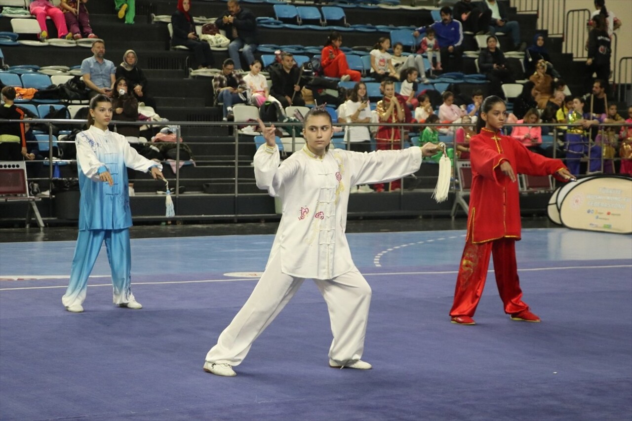 Sakarya'da, Türkiye Wushu Kung Fu Federasyonunca Serdivan Spor Salonu'nda düzenlenen Geleneksel...