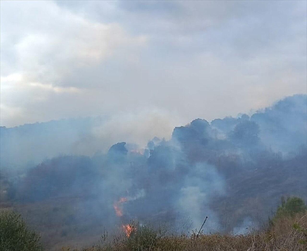 Çanakkale’nin Biga ilçesinde, henüz bilinmeyen nedenle çıkan yangına havadan ve karadan müdahale...