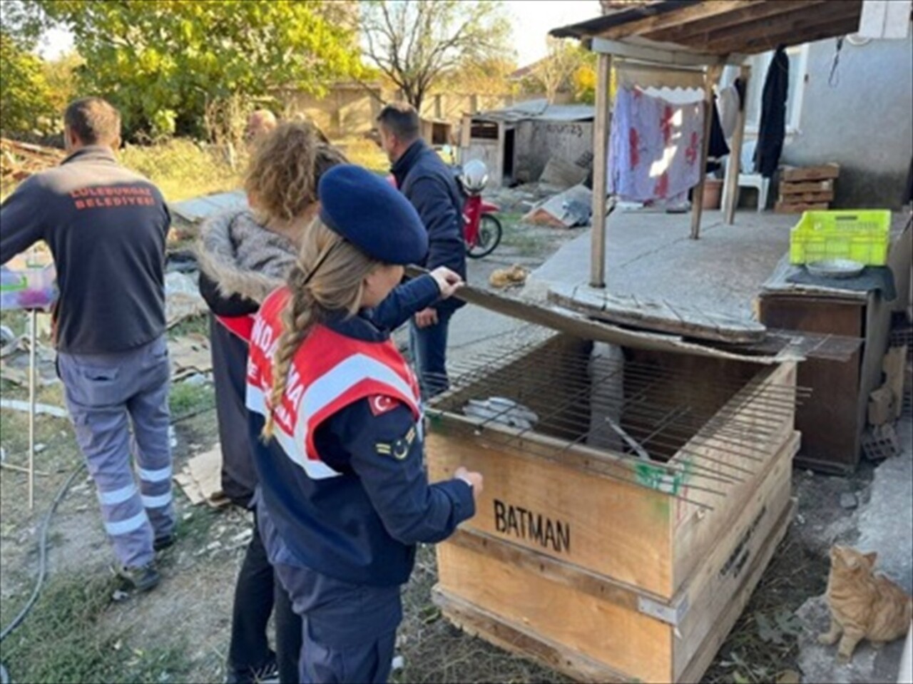 Kırklareli'nde yasaklı ırk 6 köpek besleyen kişiye 317 bin 544 lira ceza uygulandı. Köpekler...