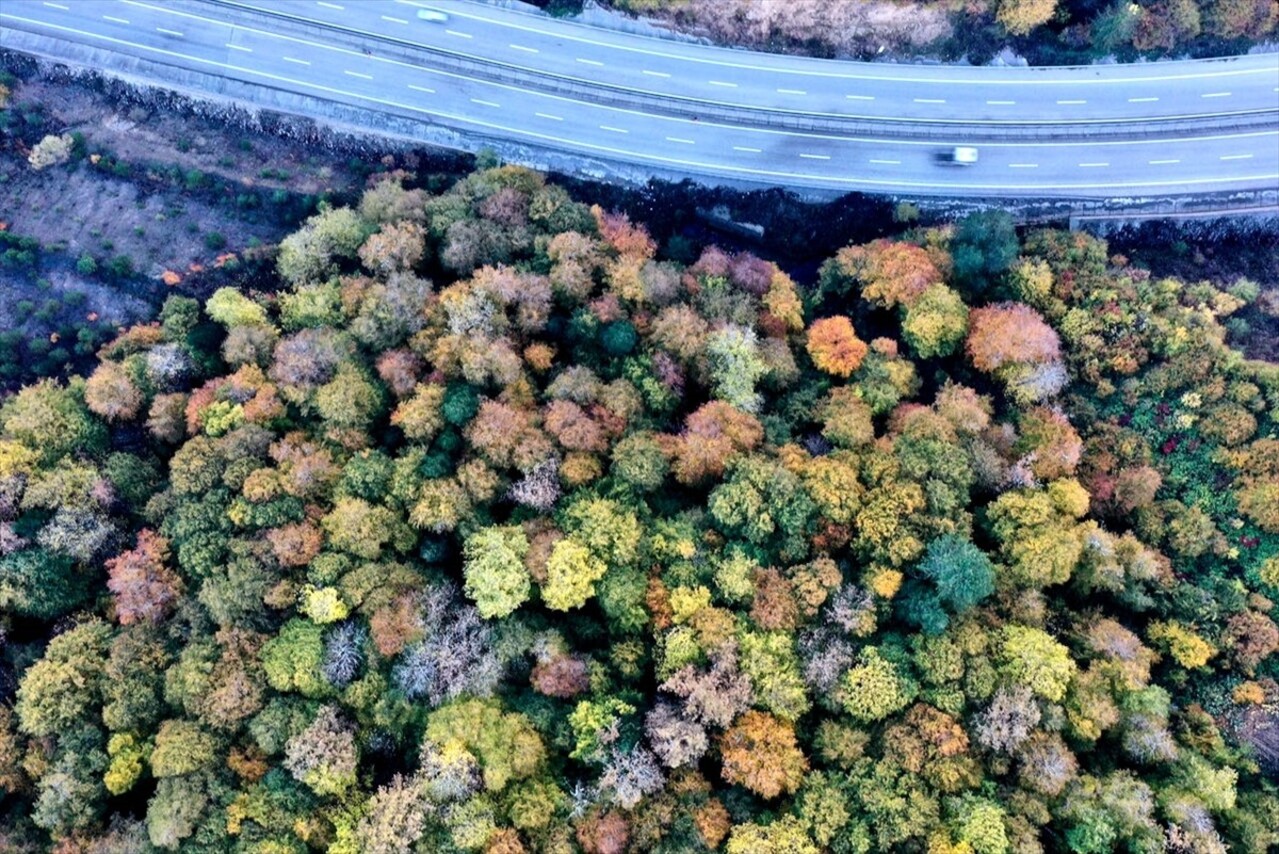 Bolu ile Zonguldak'ın geçiş noktasında bulunan Mengen çevresindeki ormanlar, sonbaharın...