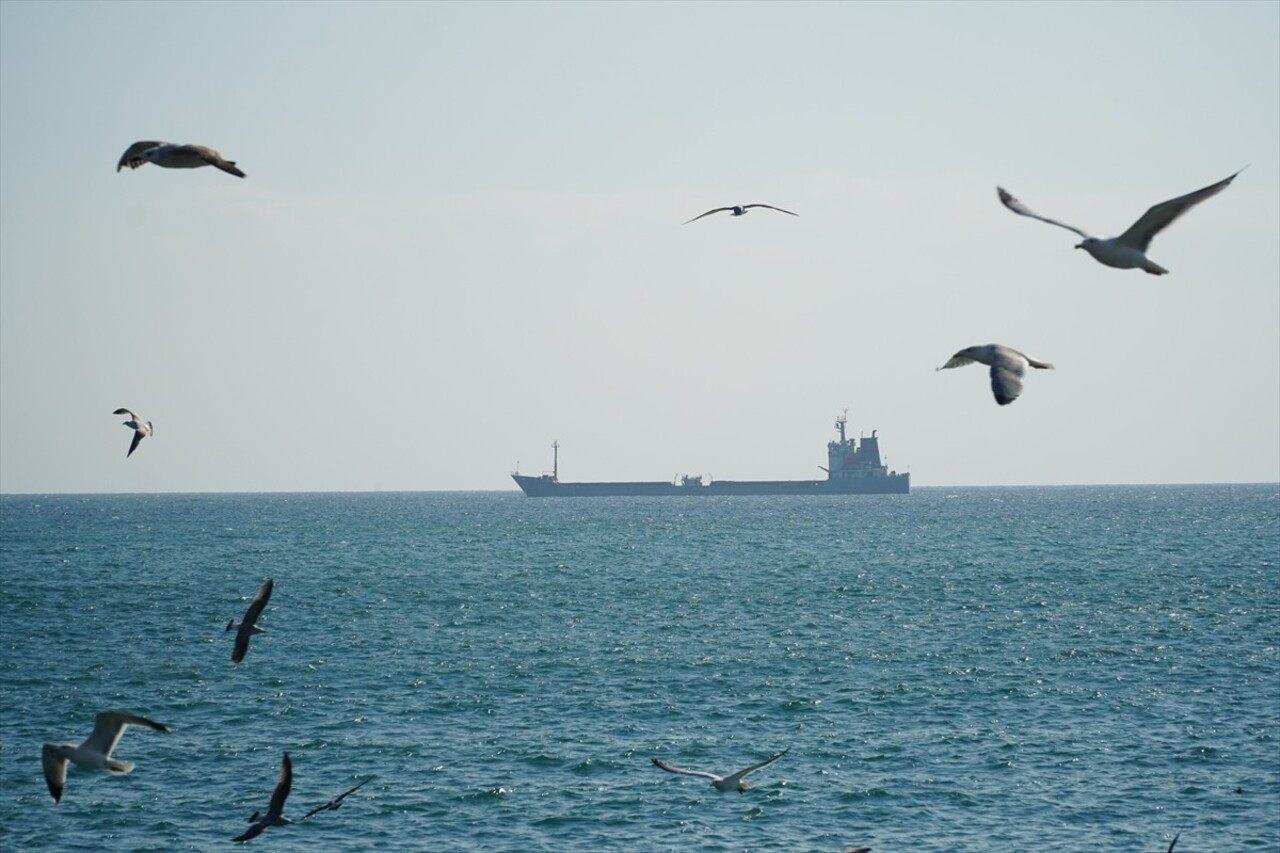 Marmara Denizi'nde 5 gündür etkili olan poyraz, deniz ulaşımında aksamalara neden oluyor. Hızı...