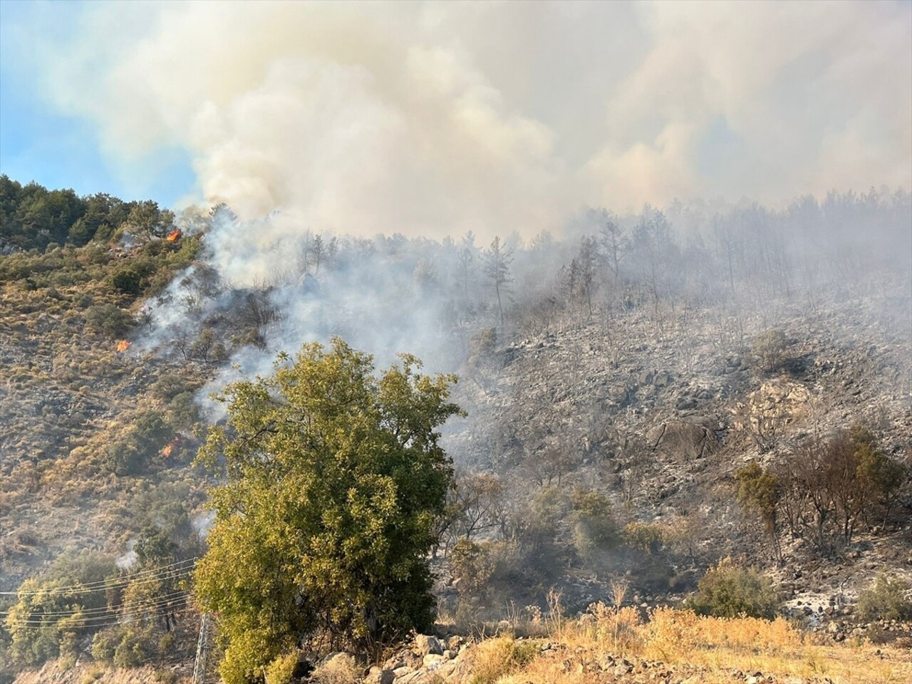 Antalya'nın Kumluca ilçesinde çıkan orman yangınına müdahale ediliyor.