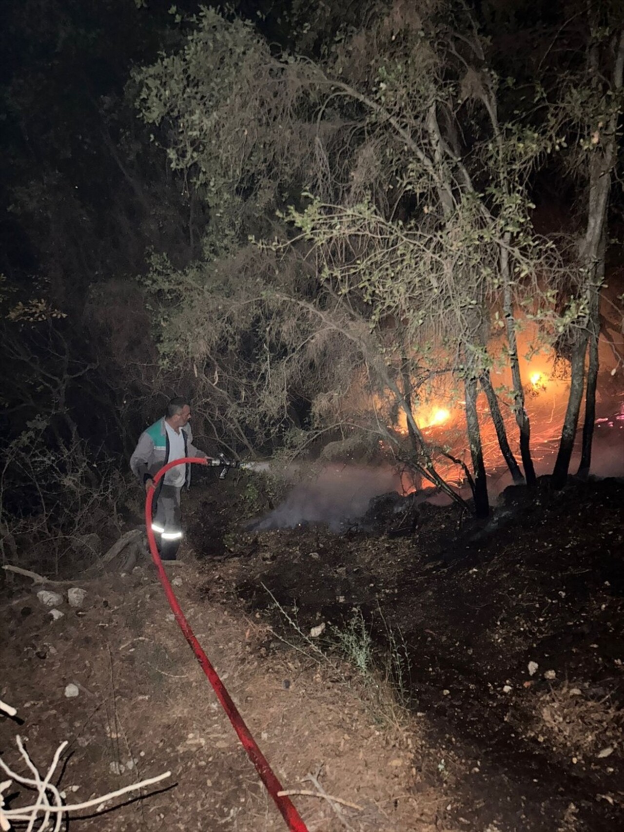 Antalya'nın Kumluca ilçesinde çıkan orman yangınına müdahale ediliyor.