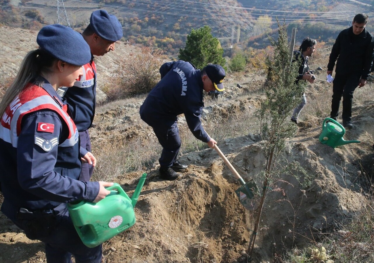 Tokat'ta 11 Kasım Milli Ağaçlandırma Günü dolayısıyla Gıjgıj mevkisindeki ağaçlandırma alanında...