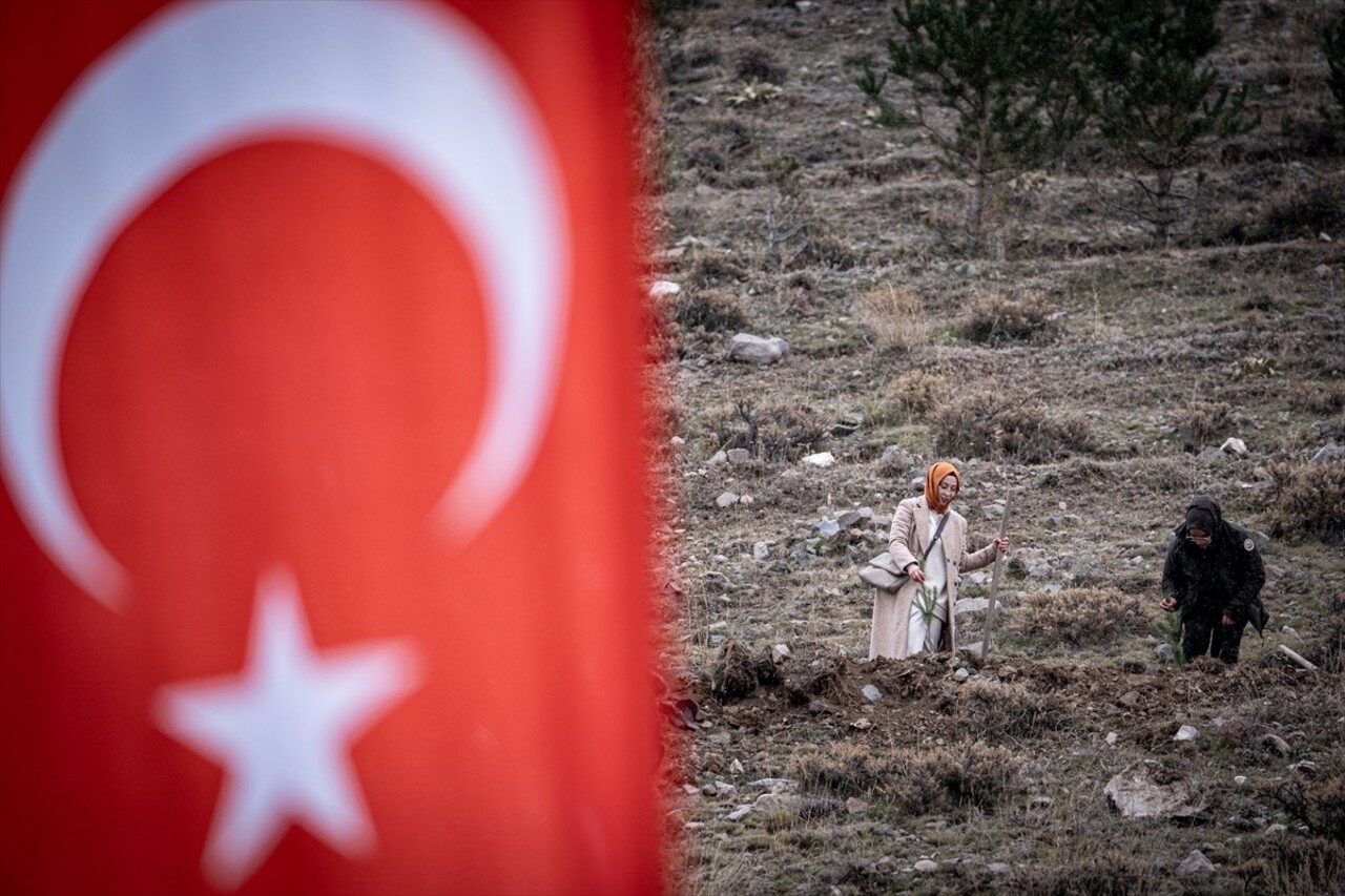 Erzurum'da "11 Kasım Milli Ağaçlandırma Günü" kapsamında fidan dikim etkinliği gerçekleştirildi....