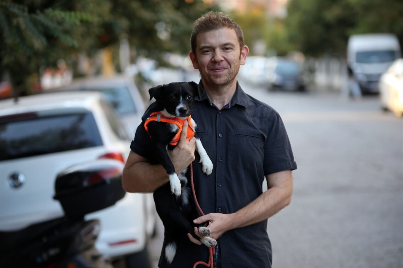 Aydın'da yaralı halde bulunan ve bir çiftin sahiplendiği köpek, felç nedeniyle götürüldüğü...