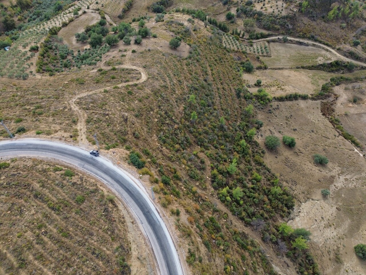 Antalya'nın Manavgat ilçesinde 3 yıl önce çıkan orman yangınında zarar gören ve ağaçlandırma...