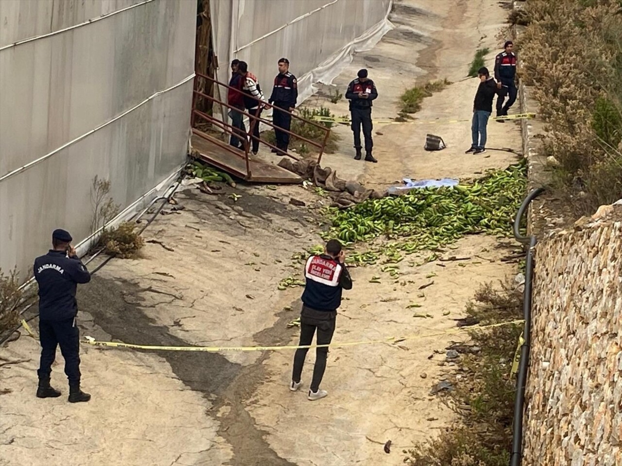 Antalya'nın Alanya ilçesinde muzları taşımak için oluşturulan raylı sistemdeki halatın kopması...