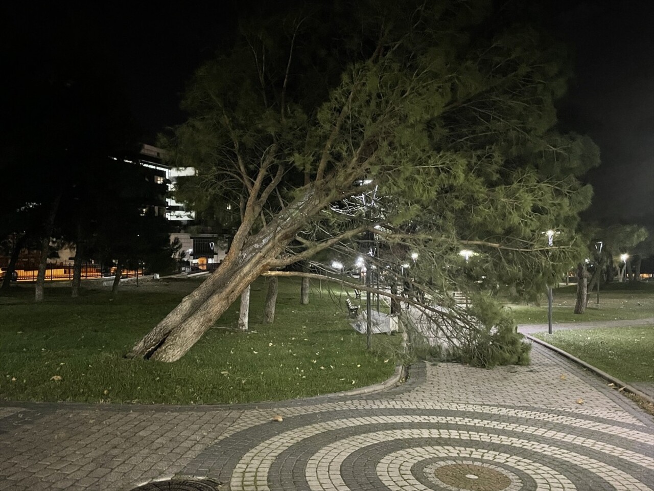 Bursa'da kuvvetli fırtına, otobüs durağı, atık toplama kabini ve ağaçları devirip hasara yol açtı....