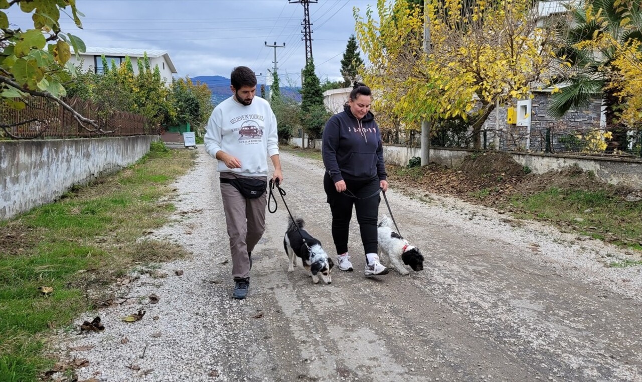 Samsun'da yaşayan veteriner sağlık teknikeri ve köpek eğitmeni Baybars Üregen (solda), köpeklere...