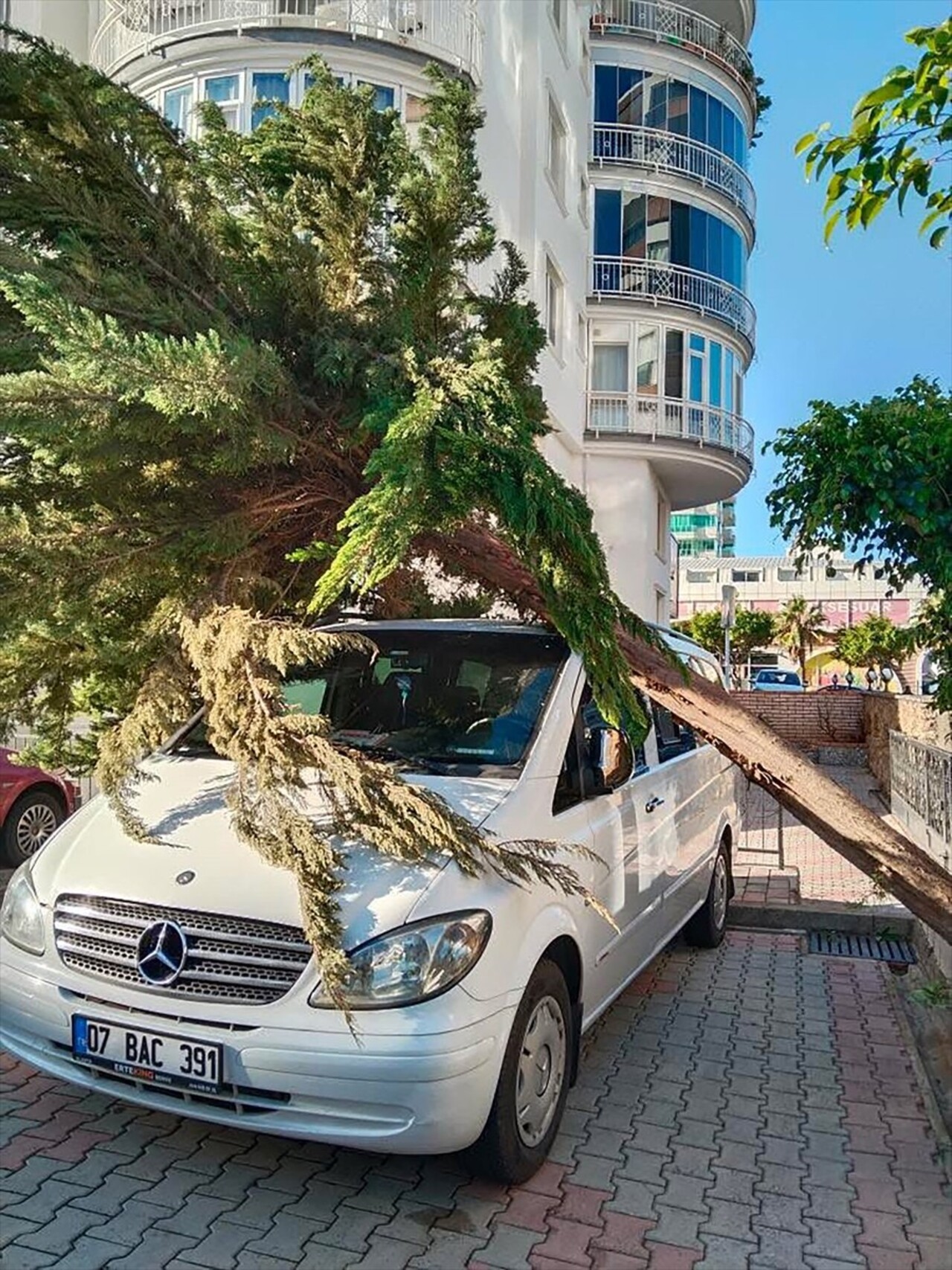 Antalya'nın Alanya ilçesinde gece saatlerinde başlayan fırtına hayatı olumsuz etkiledi. Saatteki...