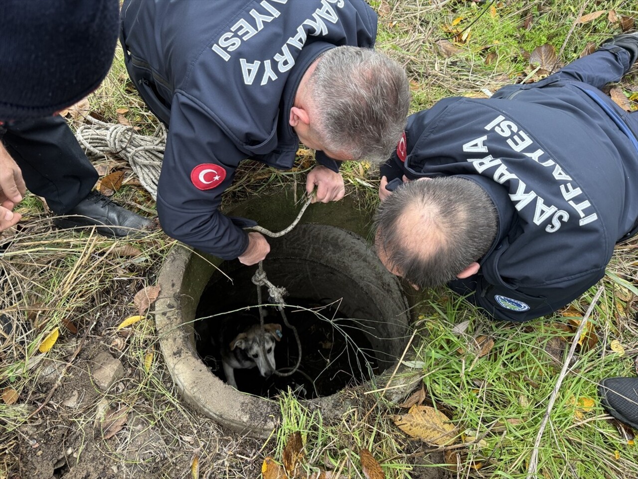 Sakarya'nın Adapazarı ilçesinde düştüğü kuyuda mahsur kalan sahipsiz köpek, itfaiye ekiplerince...