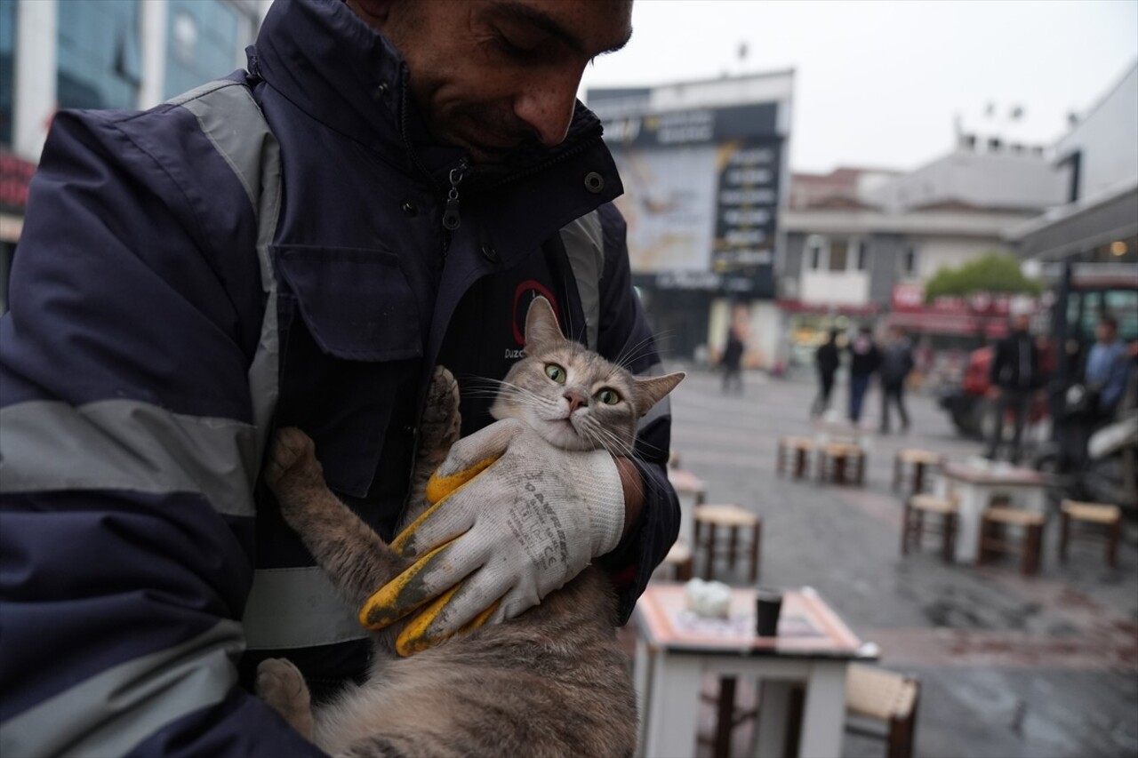 Düzce'de bir iş yerinin reklam tabelasına sıkışan 2 kedinin yardımına itfaiye ekipleri...