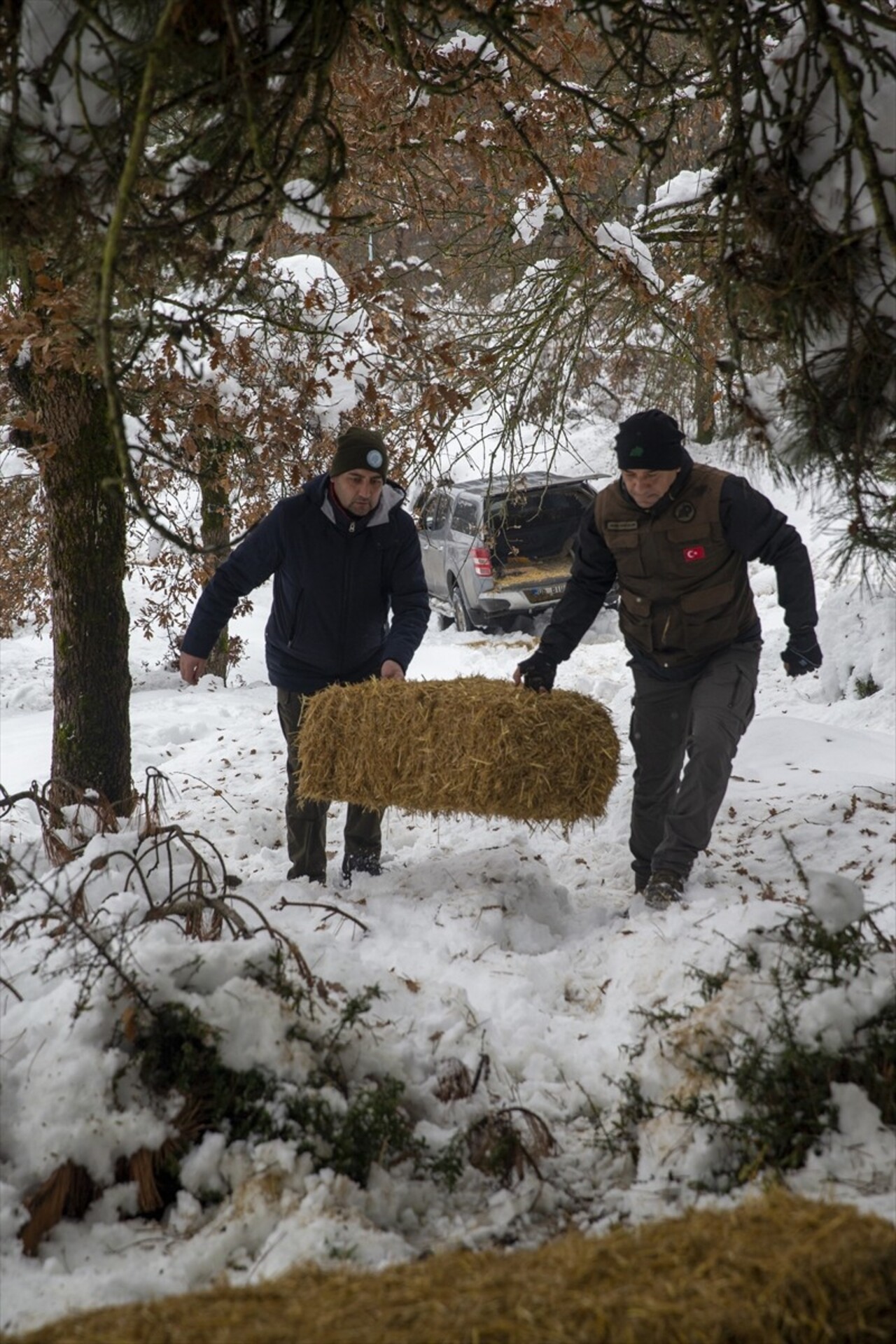 Bolu'da karla kaplı arazilere, yılkı atlarının beslenmesi için yem bırakıldı. Kış şartlarının...