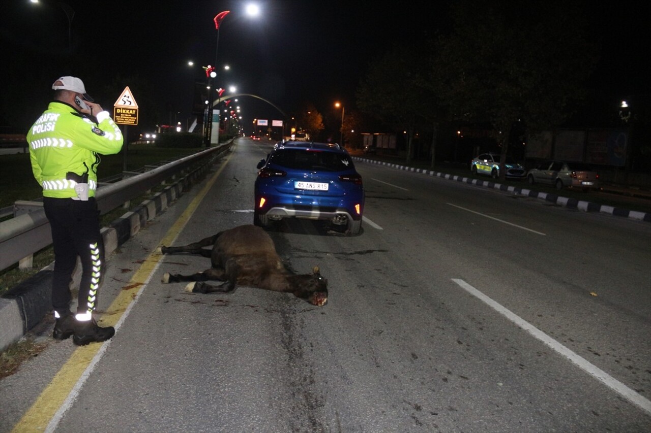 Manisa'nın Yunusemre ilçesinde, yola çıkan ata çarpan otomobildeki 3 kişi yaralandı. Kazada...